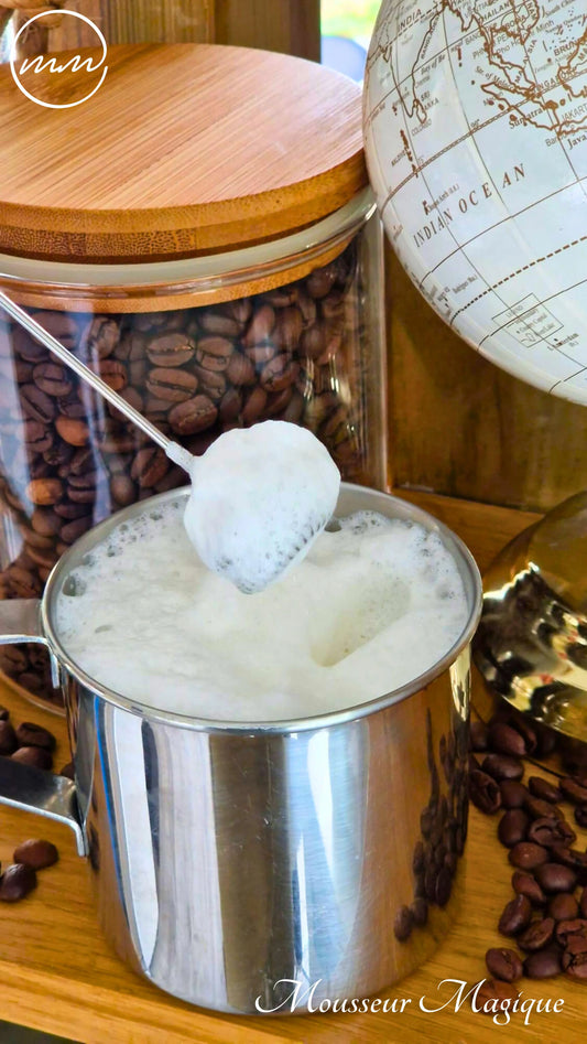 Un mousseur idéal pour les boissons végétales : guide pratique